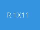 R 1X11 